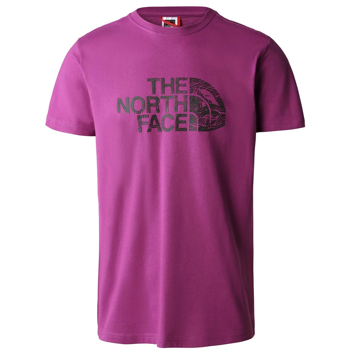 THE NORTH FACE M S/S WOODCUT DOME TEE PURPLE CACTUS FLOWER 23 1 THE NORTH FACE M S/S WOODCUT DOME TEE PURPLE CACTUS FLOWER 23