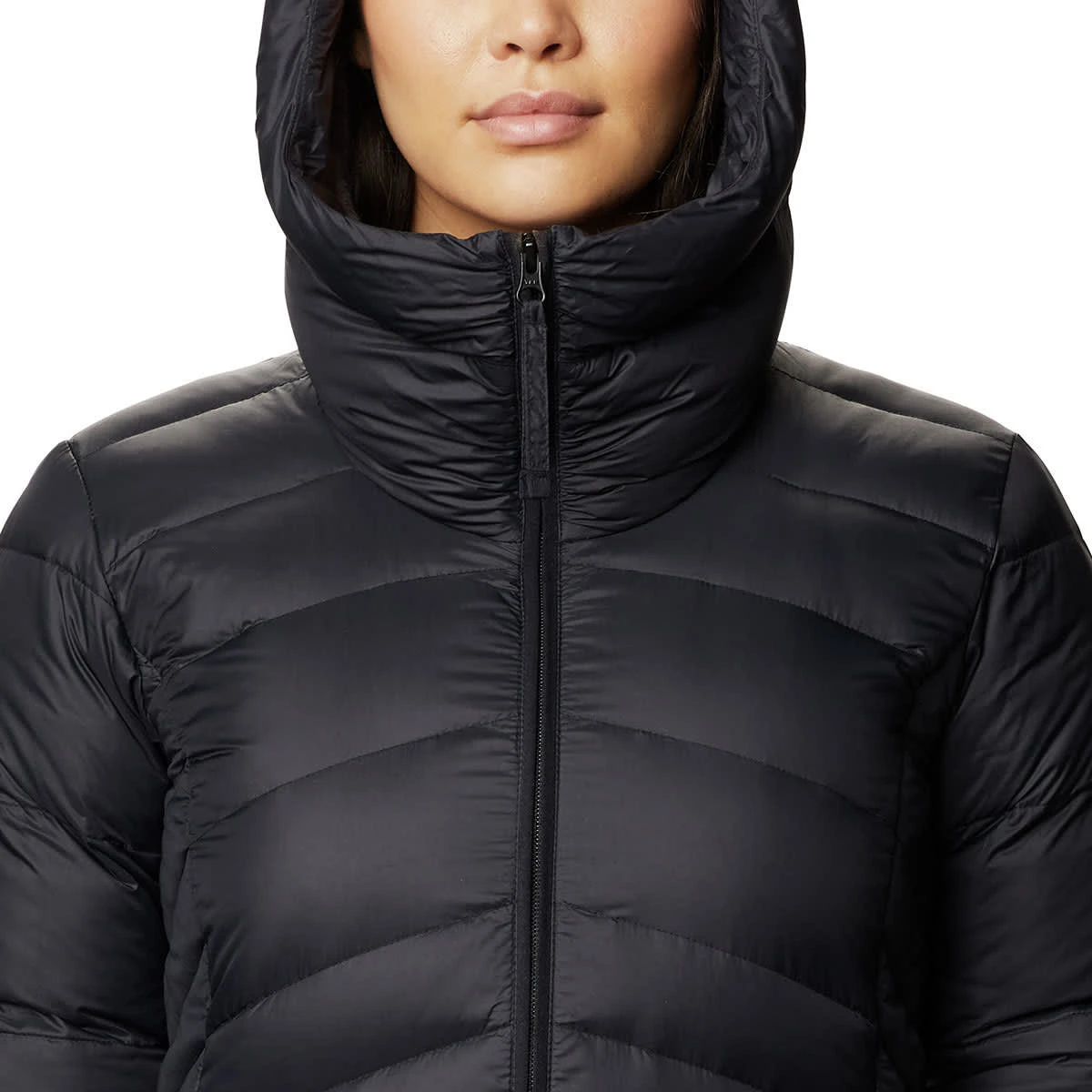 COLUMBIA AUTUMN PARK DOWN HOODED BLACK 23 3 COLUMBIA AUTUMN PARK DOWN HOODED BLACK 23 – Image 3