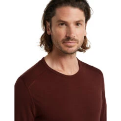 ICEBREAKER 200 OASIS LS CREWE ESPRESSO 22 11 ICEBREAKER 200 OASIS LS CREWE ESPRESSO 22 -Vêtements De Ski Boutique 9 95533 200 oasis ls crewe espresso ib104365064 04